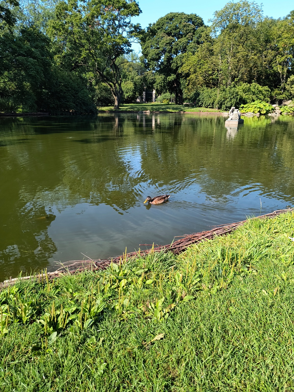 ee450922-3b1c-4df2-834c-cc62e8034494