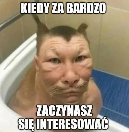 82fa3149-c2e7-43e8-812e-afdb74f643c0