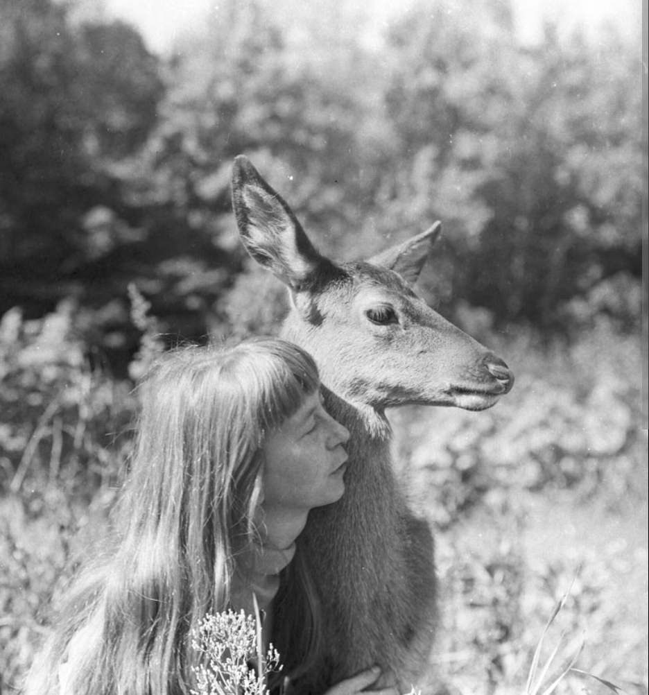 5f0d3704-8c0e-460c-93ca-59ee8e303152