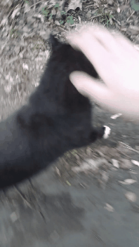 76980369-4ab1-4ab6-b84d-373cd5ad1ba5