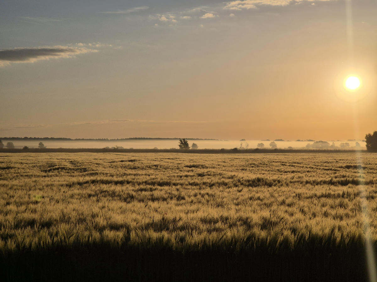 9eafa31f-ed2e-45f4-a213-7b42fd855b5b