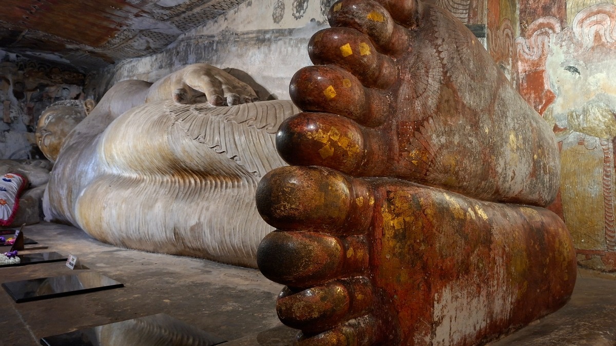 bb2faabd-3039-48ec-920e-dde6df4f8f12