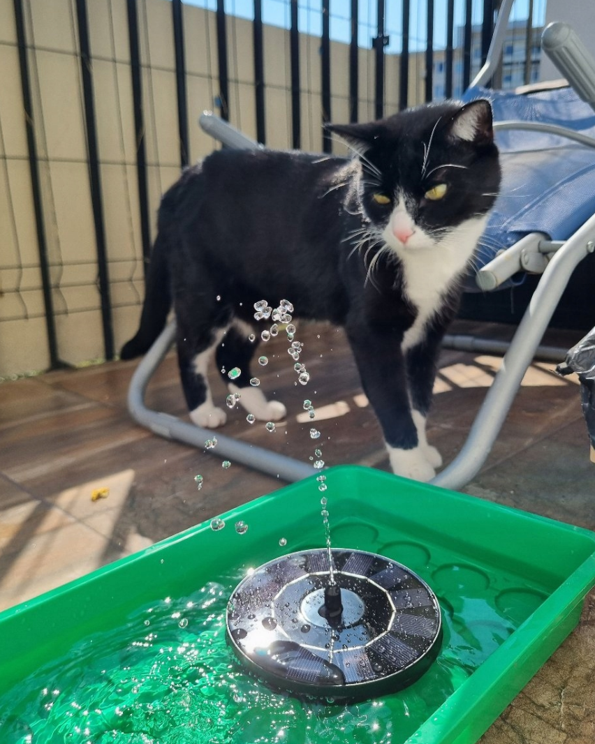 c2a1b201-9f9b-4b5d-9394-50b5296a9451