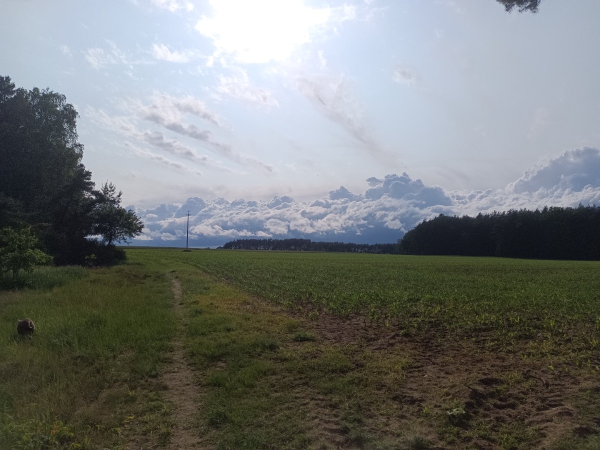 a6e0be0b-4468-41f9-bc07-b0154872b541