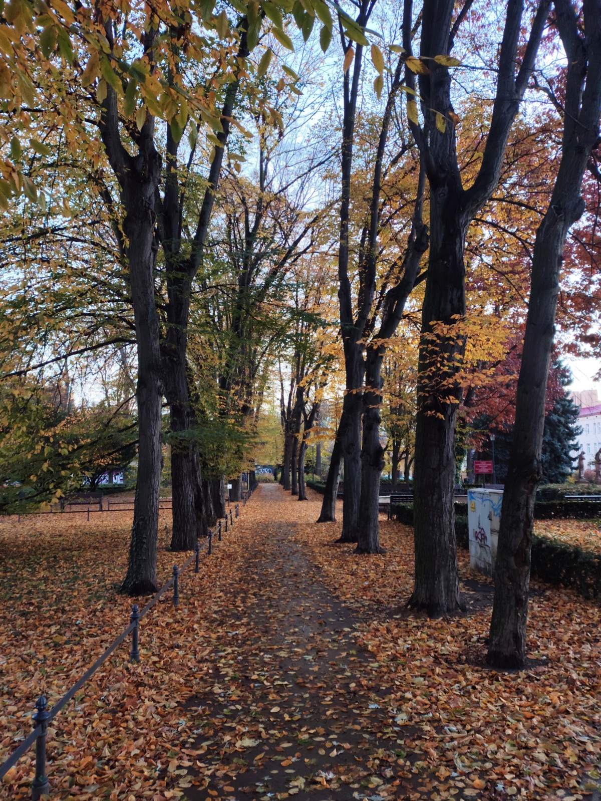 569ec9c1-8605-48d4-8f1d-8bfcf7ca7ace