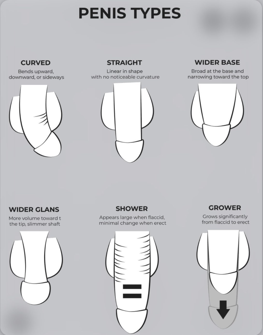 79200c55-e7ce-4ba0-9726-454d238dc5c1