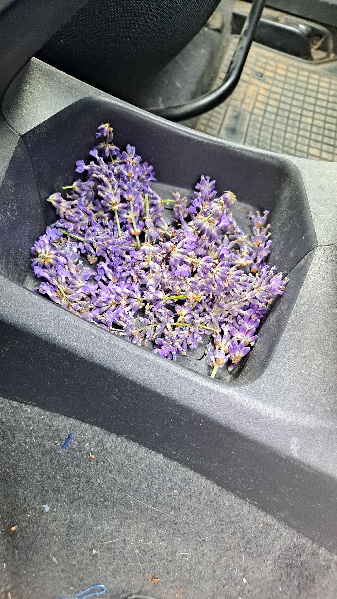 90fc400d-cb11-45eb-ab52-36f53cae0d69