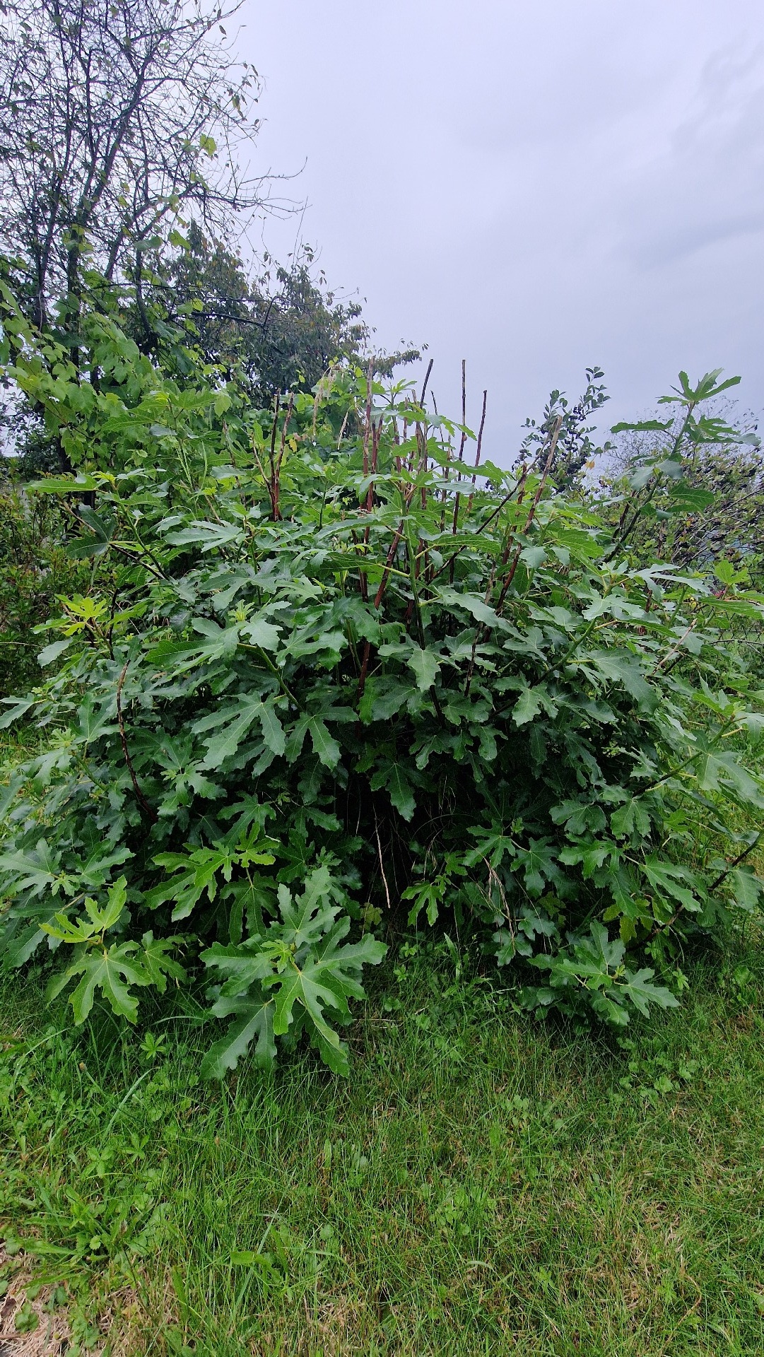 ce45248e-83b7-47bb-9f26-bb36d1229400