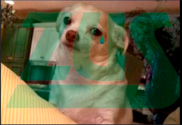 4c4c9a8d-3196-4354-b375-a6a791355bfd