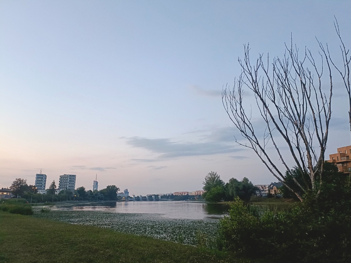 0fa7dab6-df82-4c09-a382-7d04c2cd74dc