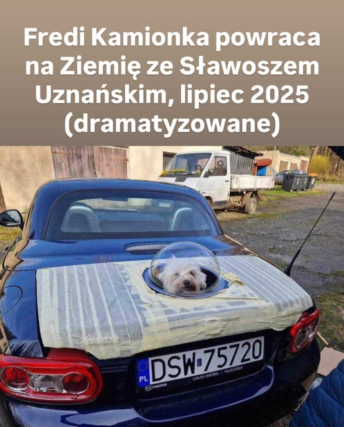 df8fb88f-3511-4033-9503-bb5c97af58e5