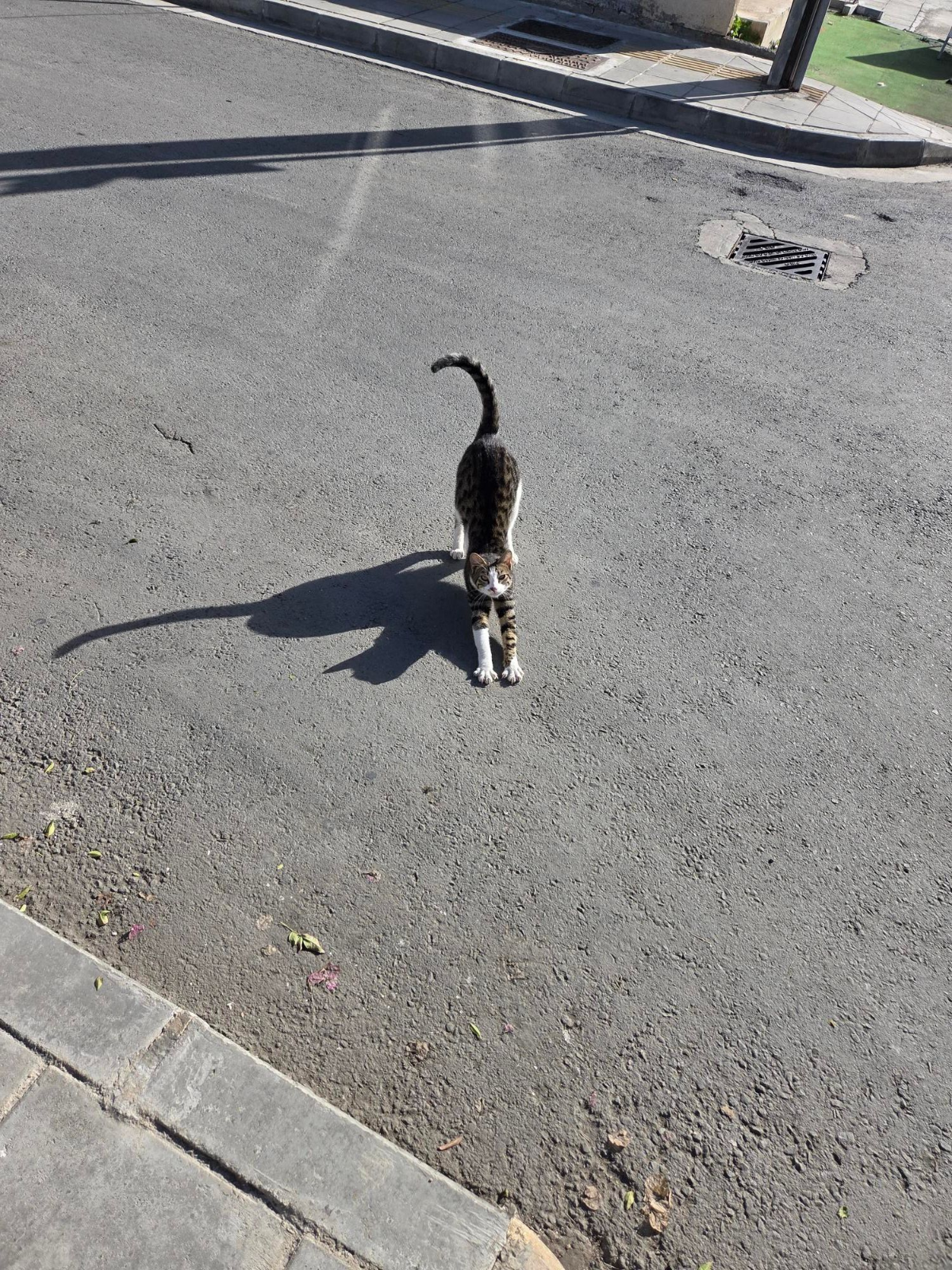 ba40ae80-b64f-40e5-a609-721a50259876