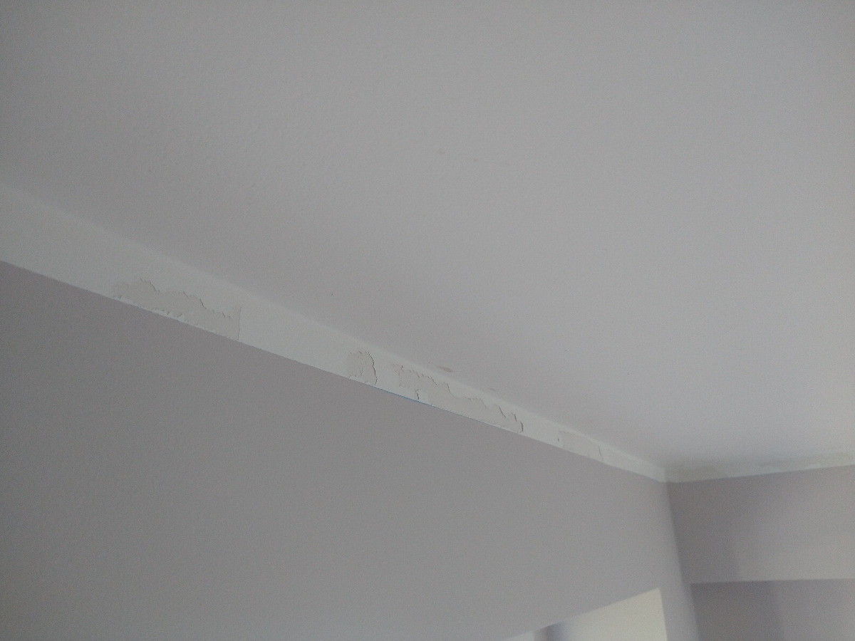 98d6a568-8baf-4e59-aa84-3f5d0eaa231b