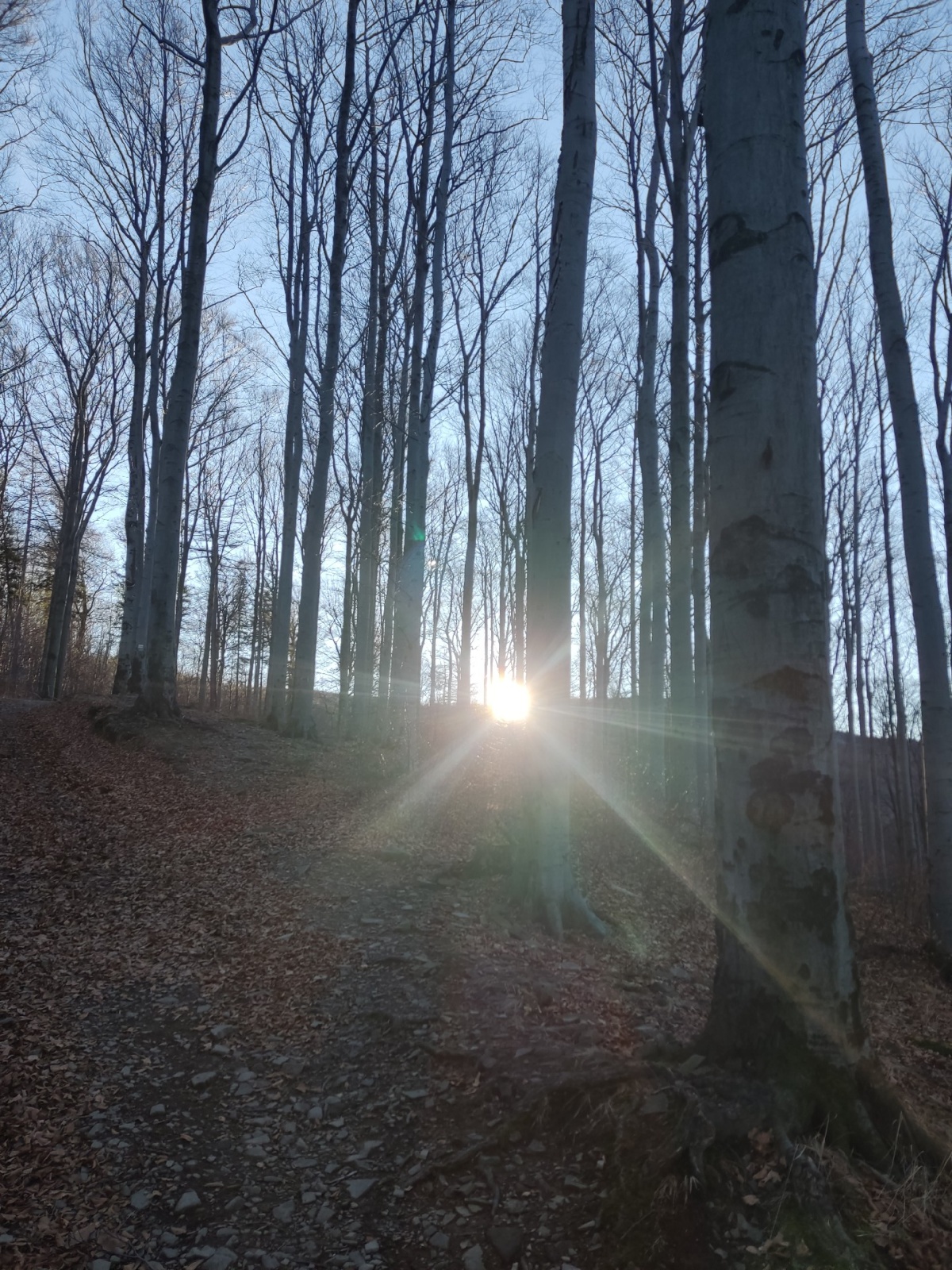 05221127-129a-43fb-a9be-c4d6416240d3