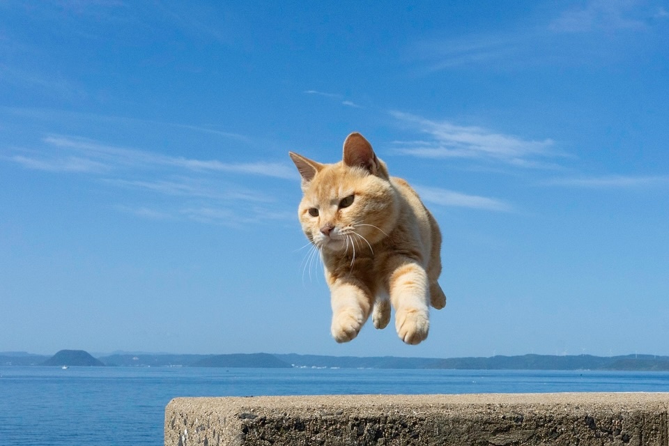 6b5d7fd5-3c8c-40a2-830a-a7ad1fa8b202