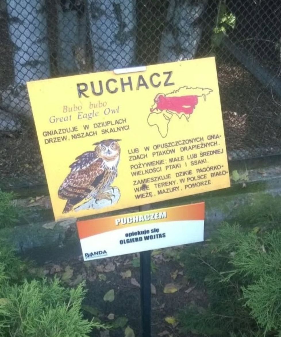 b9ba1f64-87df-425d-ad3d-fad4ec88c9ee