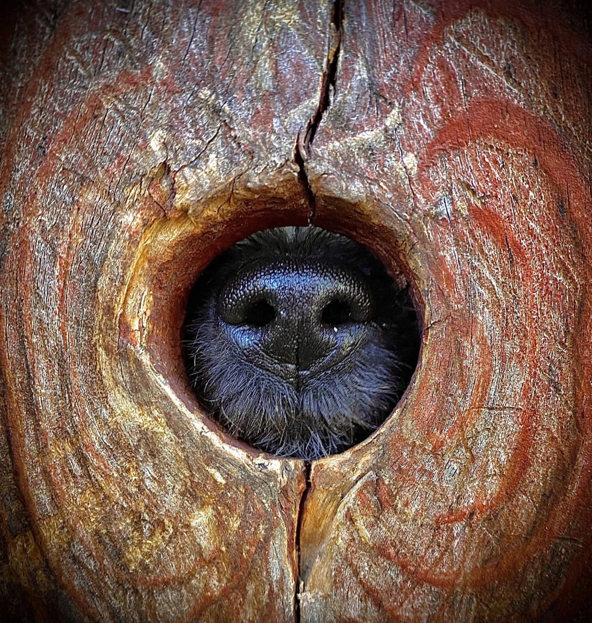 0c6ac124-20e9-4198-b8cd-1dbd59b4f37f