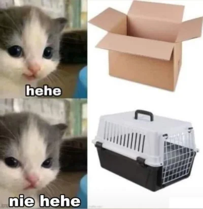 0d971695-0121-4606-881c-2450d616249b