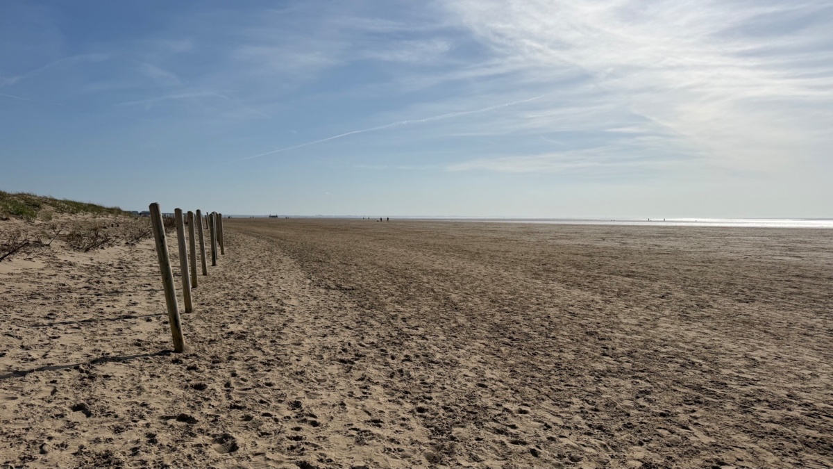 6901ccad-eecc-4f5d-81d7-55c14d6ef752