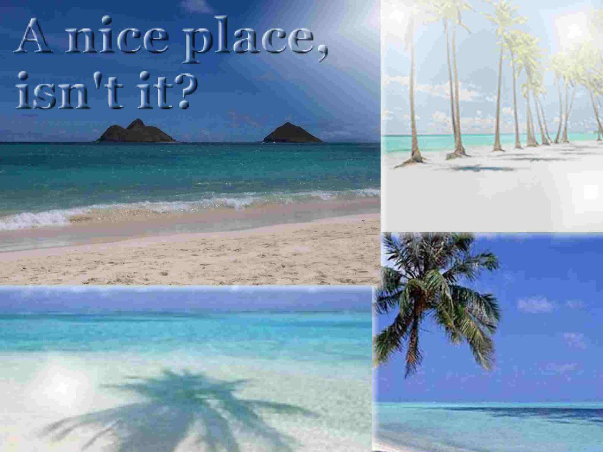 c4107471-7d39-4ba3-9a7d-c5390ac16797