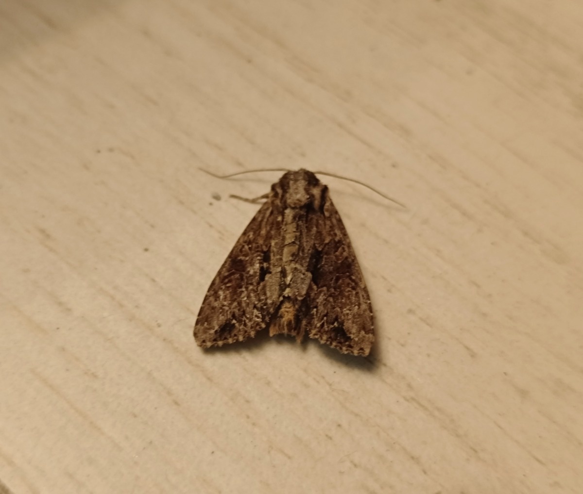 5eafc00f-1352-42da-8fc5-d492538ad1b3