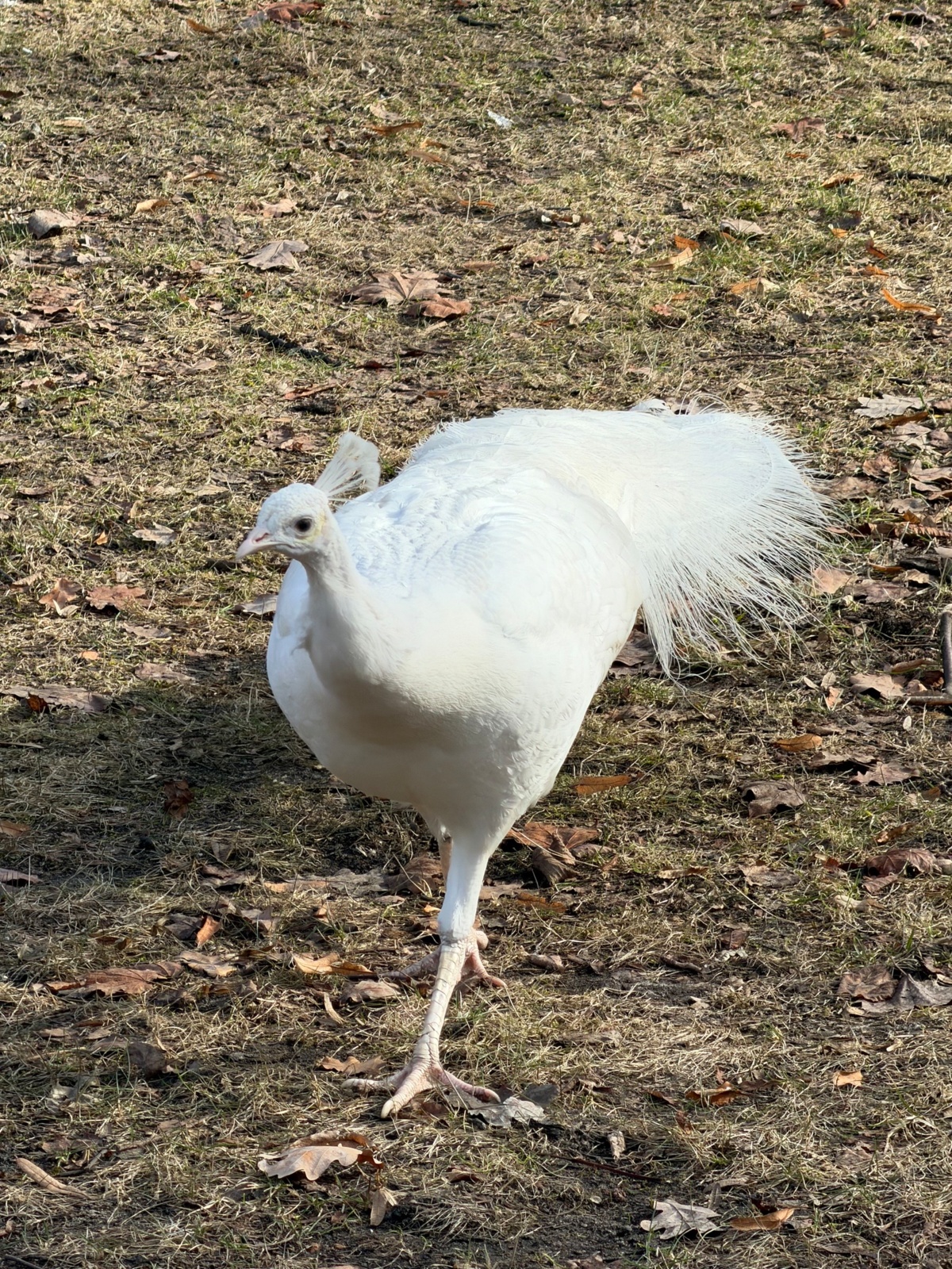 53b2ec3f-cf78-4022-8f8a-e176b45ea88f