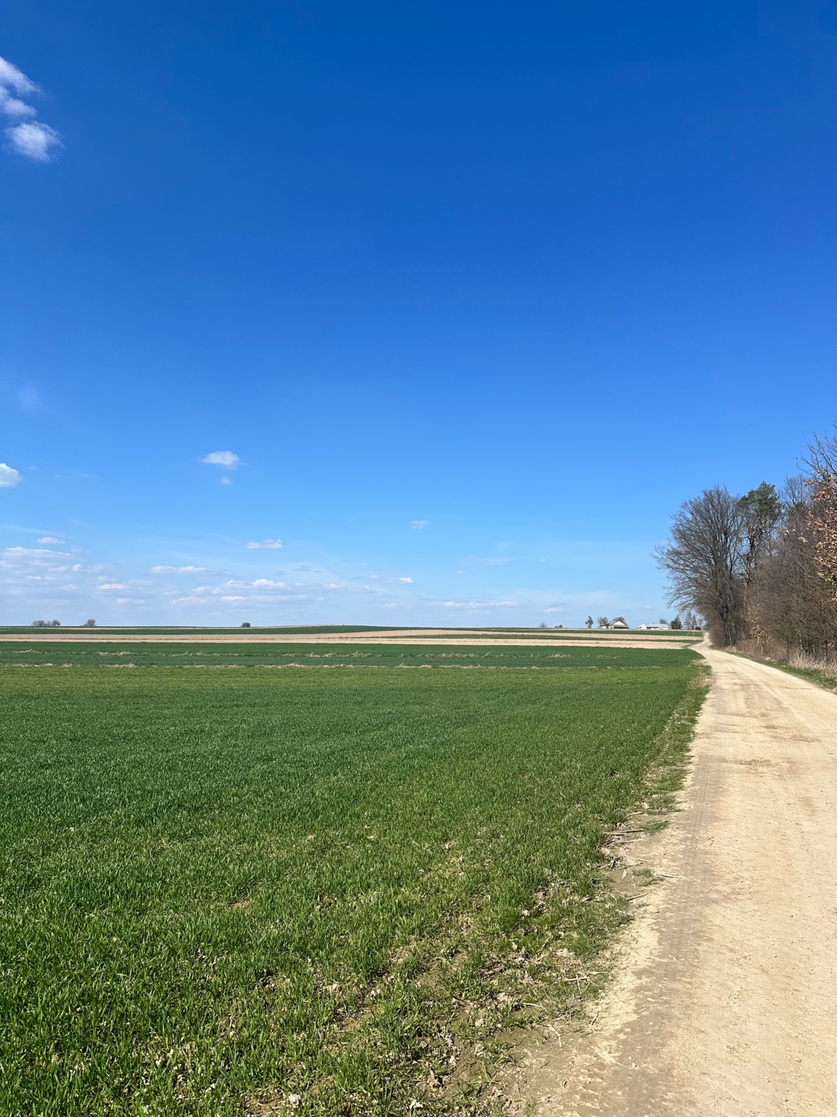 d67455bf-40f4-4f39-8c3c-7becfc140993