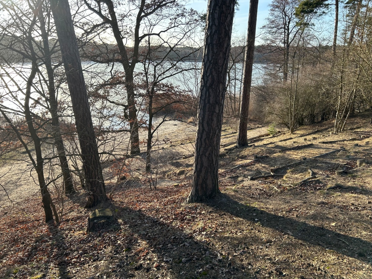 d2d8f751-dc2b-4cfe-b8db-2b97f5e9fdec