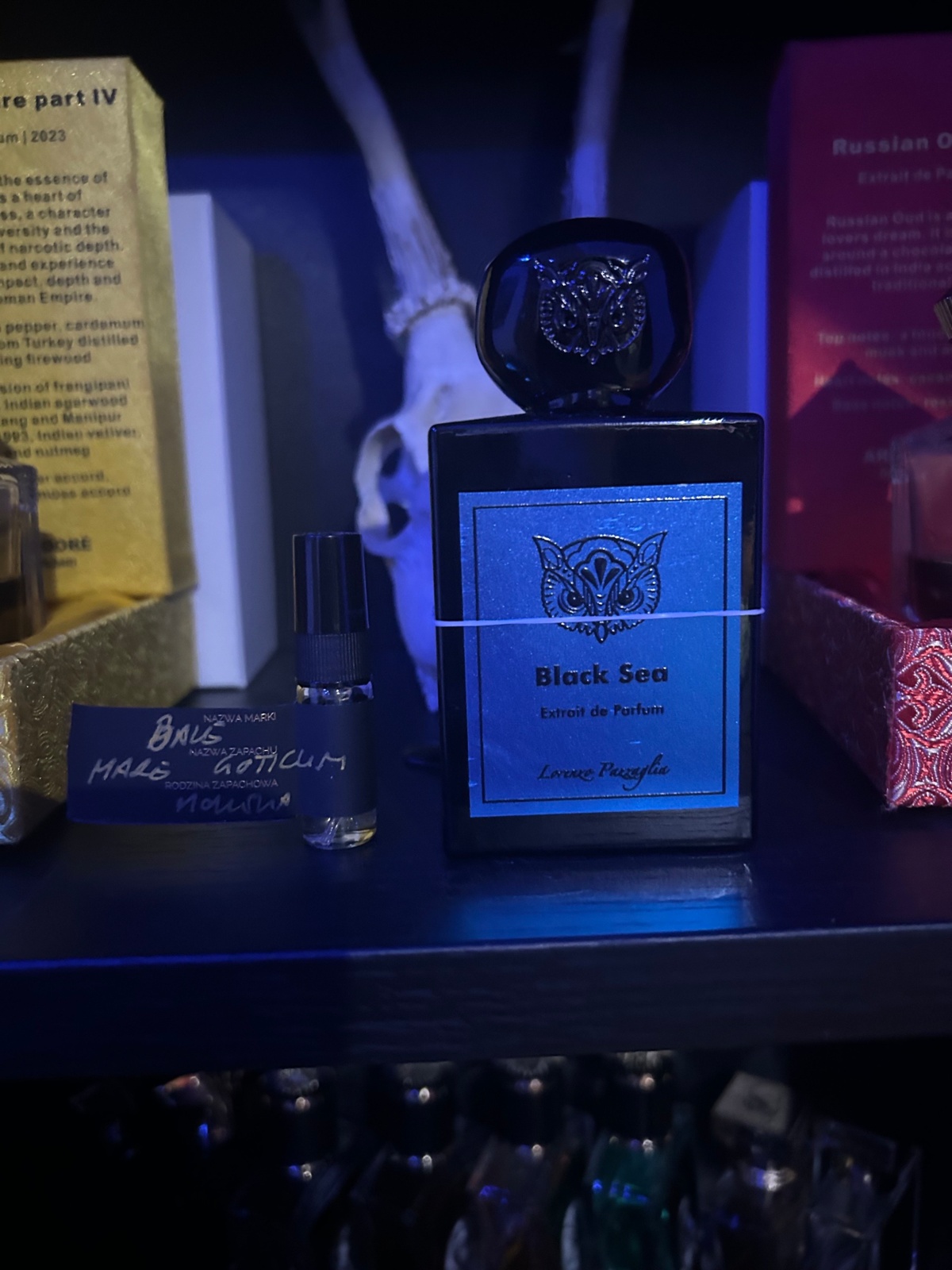 7876abe4-71db-4938-9452-8a9a6ef06999