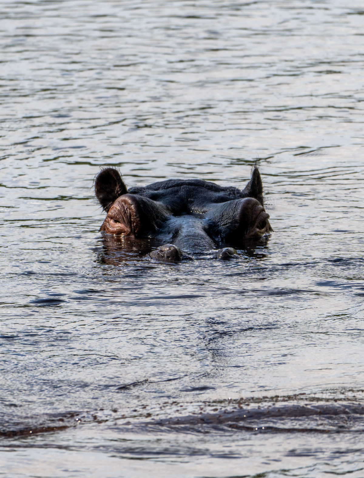 72a5e12b-472a-48e5-9b6d-4be1e74e3f21