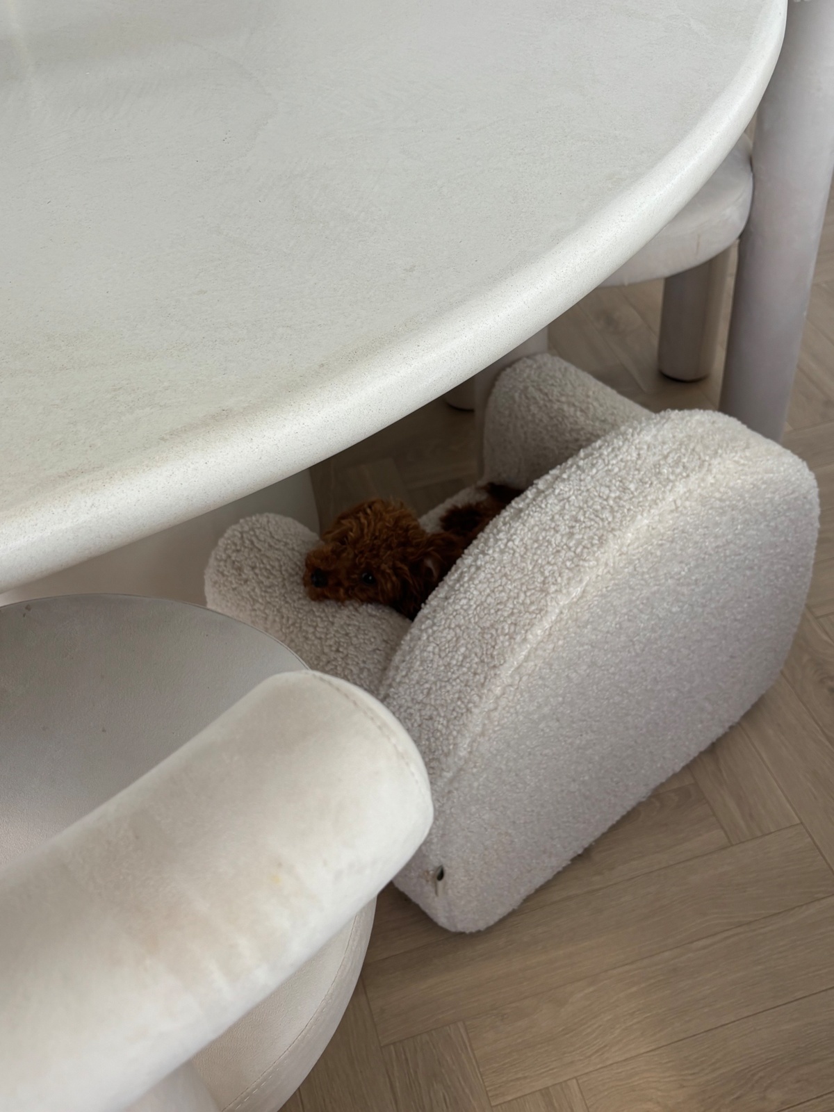 ee3992df-659f-461c-a81e-2528cb786037