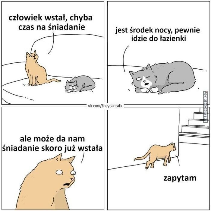 5563ad8e-4cb7-4002-bee7-279773119392