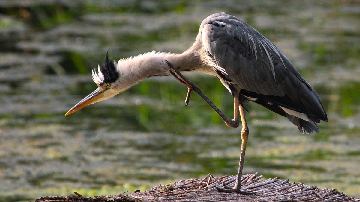 3b918c8c-30b3-44b3-9209-e59a048e6124