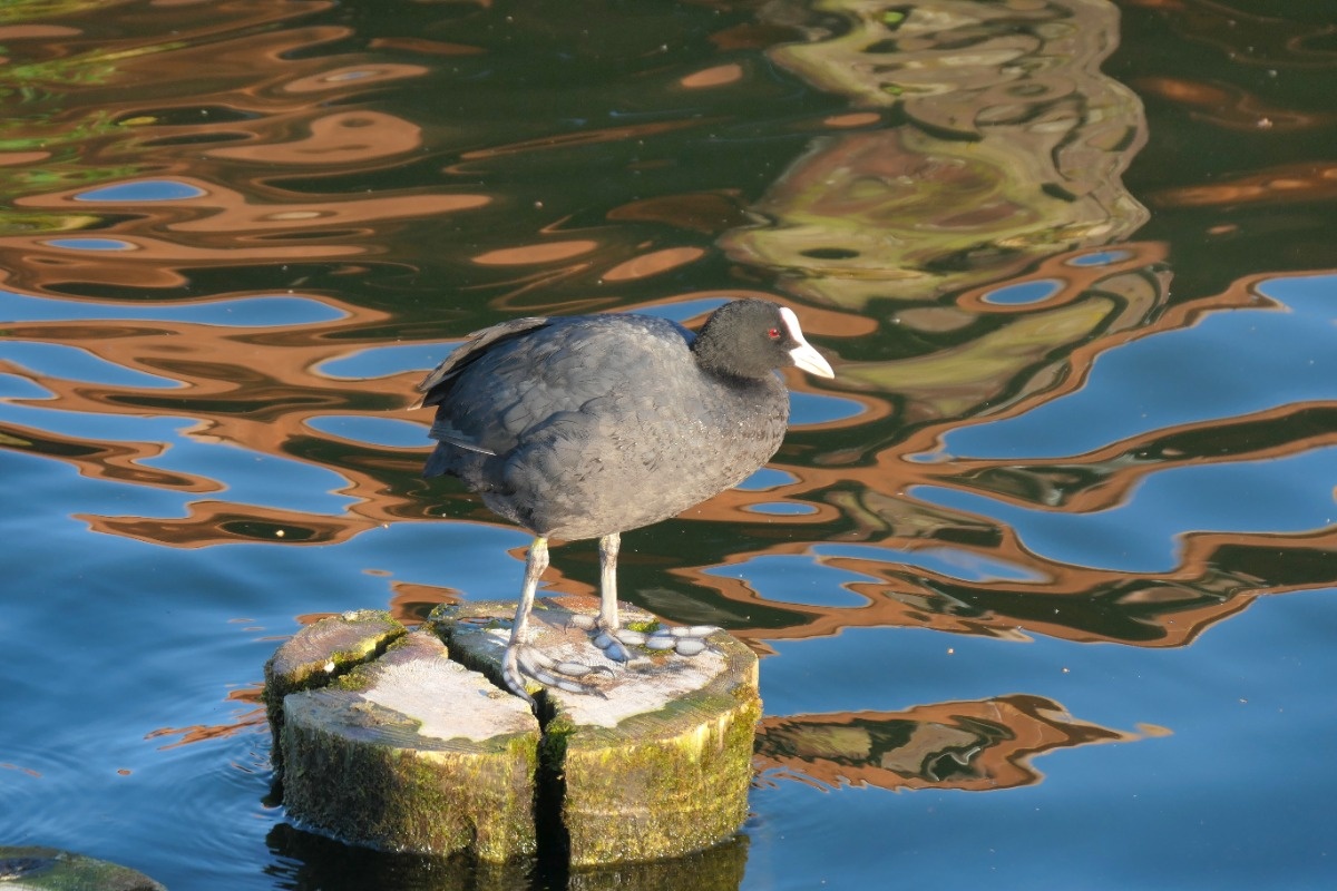 c084fab9-bafb-4db0-ae23-3e399a0301a2