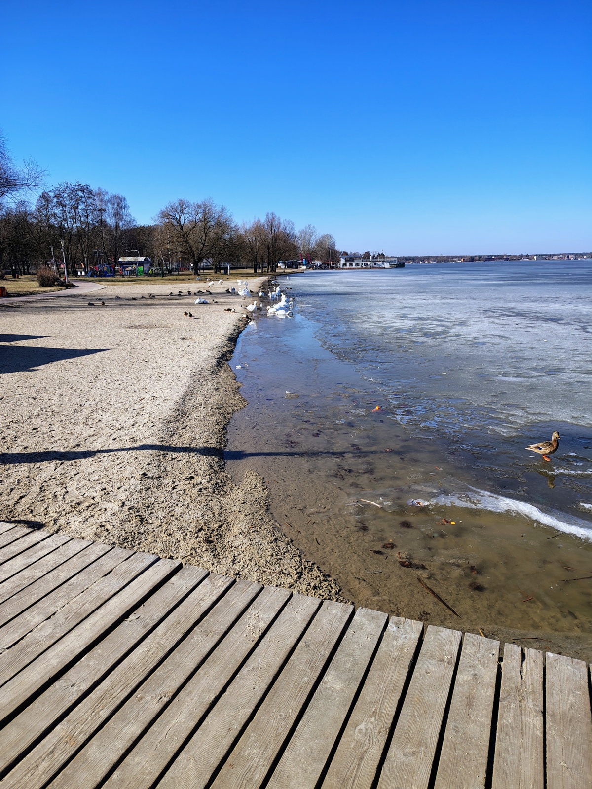 b78f3297-48a0-41ea-ac86-a869873d0135