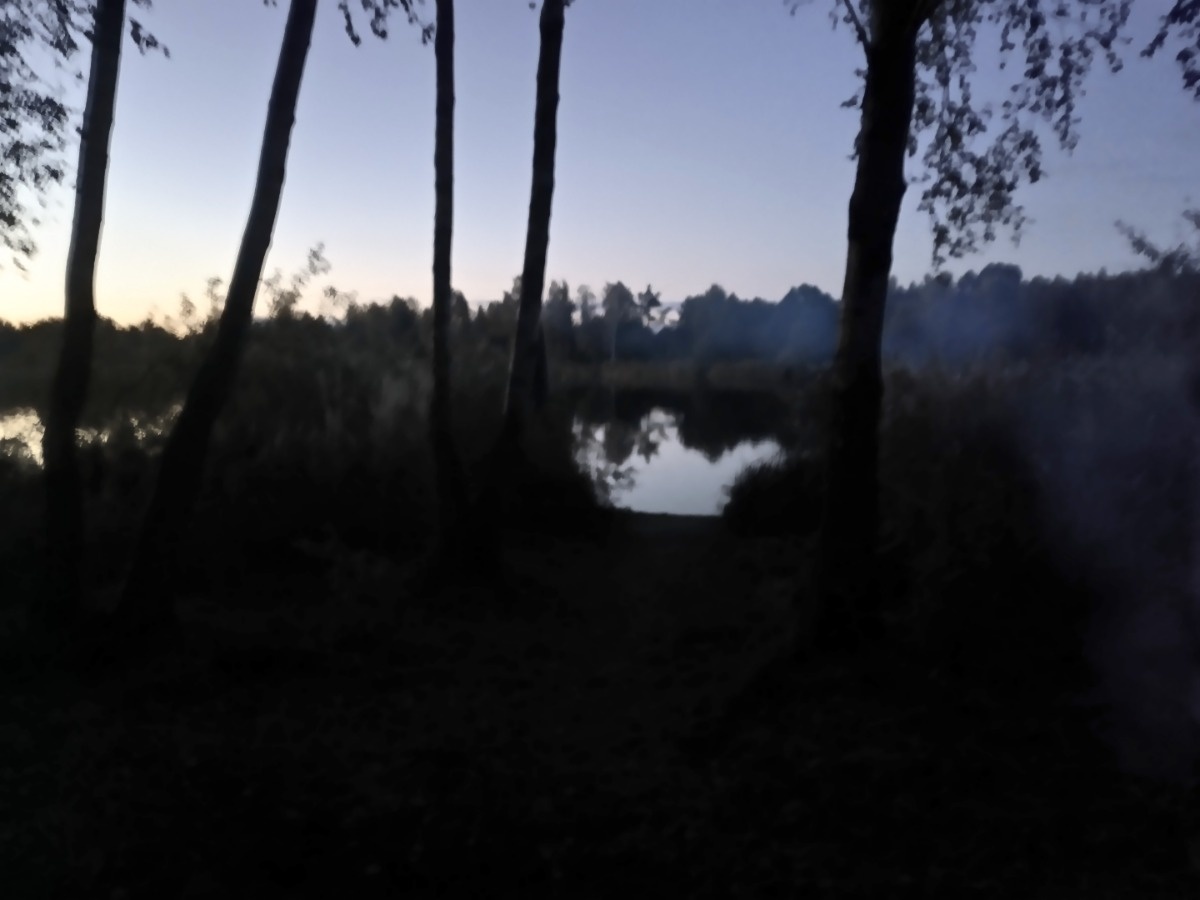 8597aa76-1fe1-4dfd-9894-e715175ed389