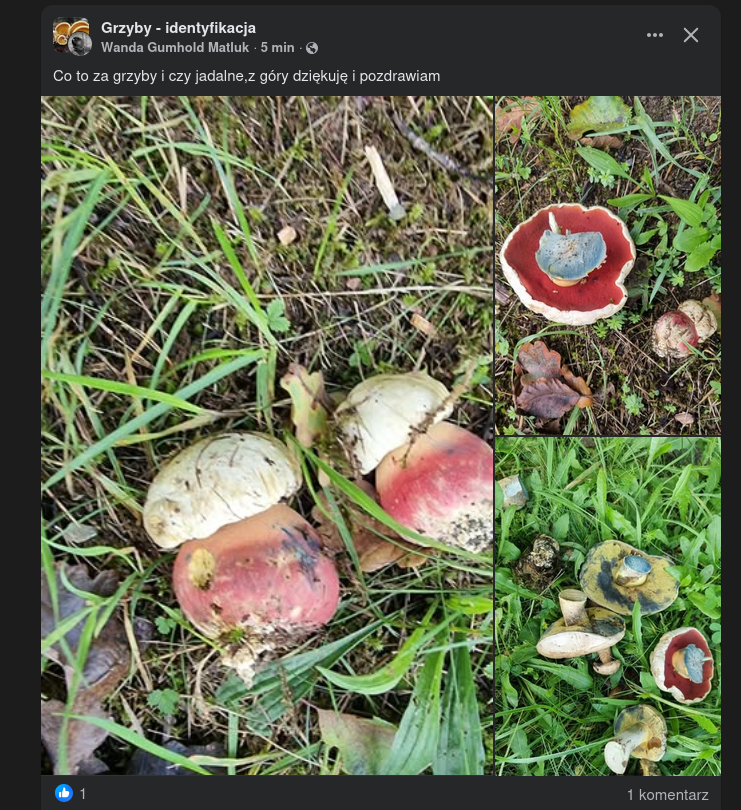 95c4de86-d5e3-4cbe-806c-4d072c99f949