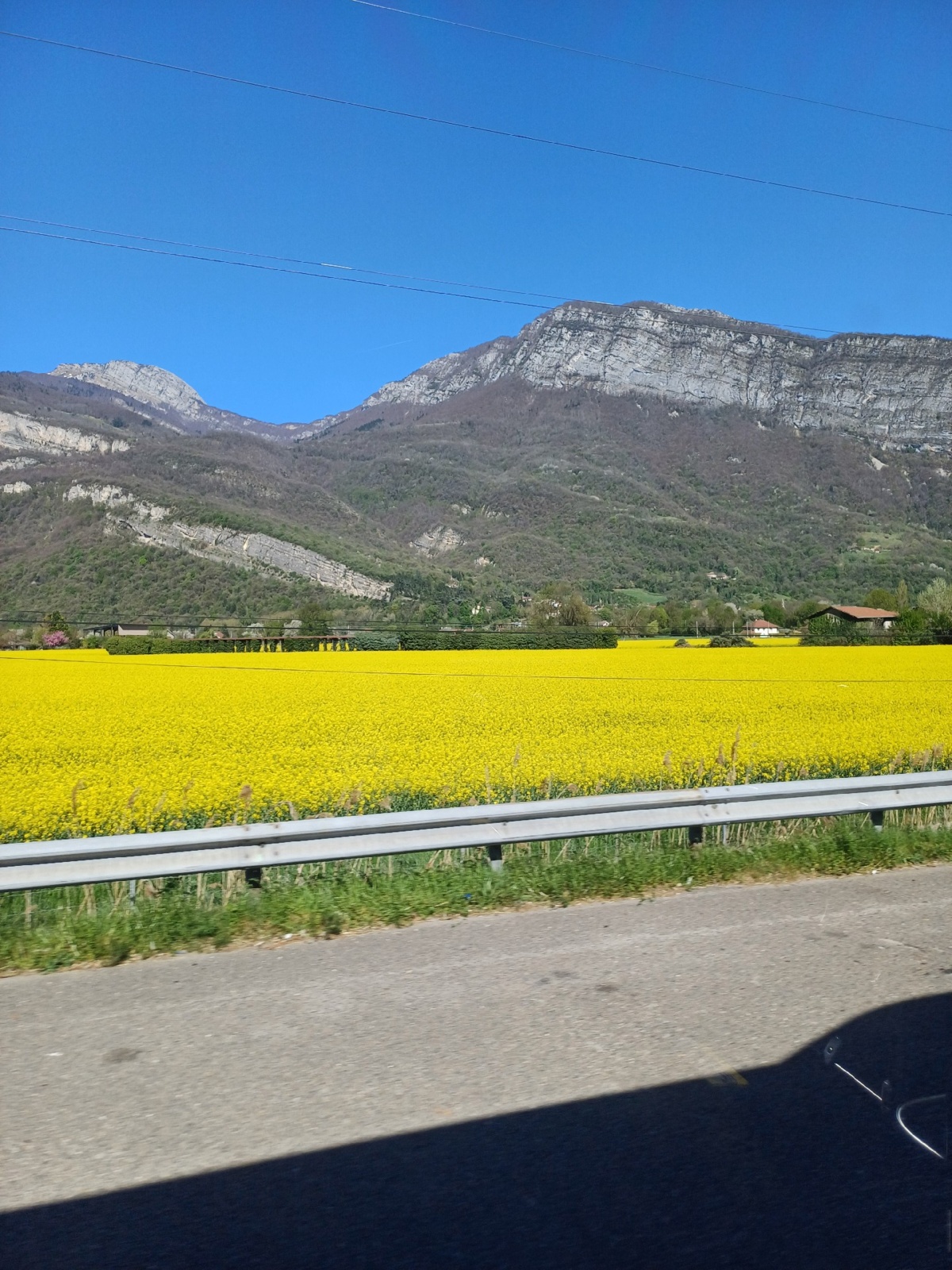 04ba711d-b5a7-4cc9-988e-b606e683e28b