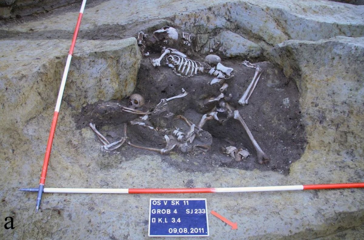 eaf91b15-9e7a-487c-9e30-7f163cdf934b