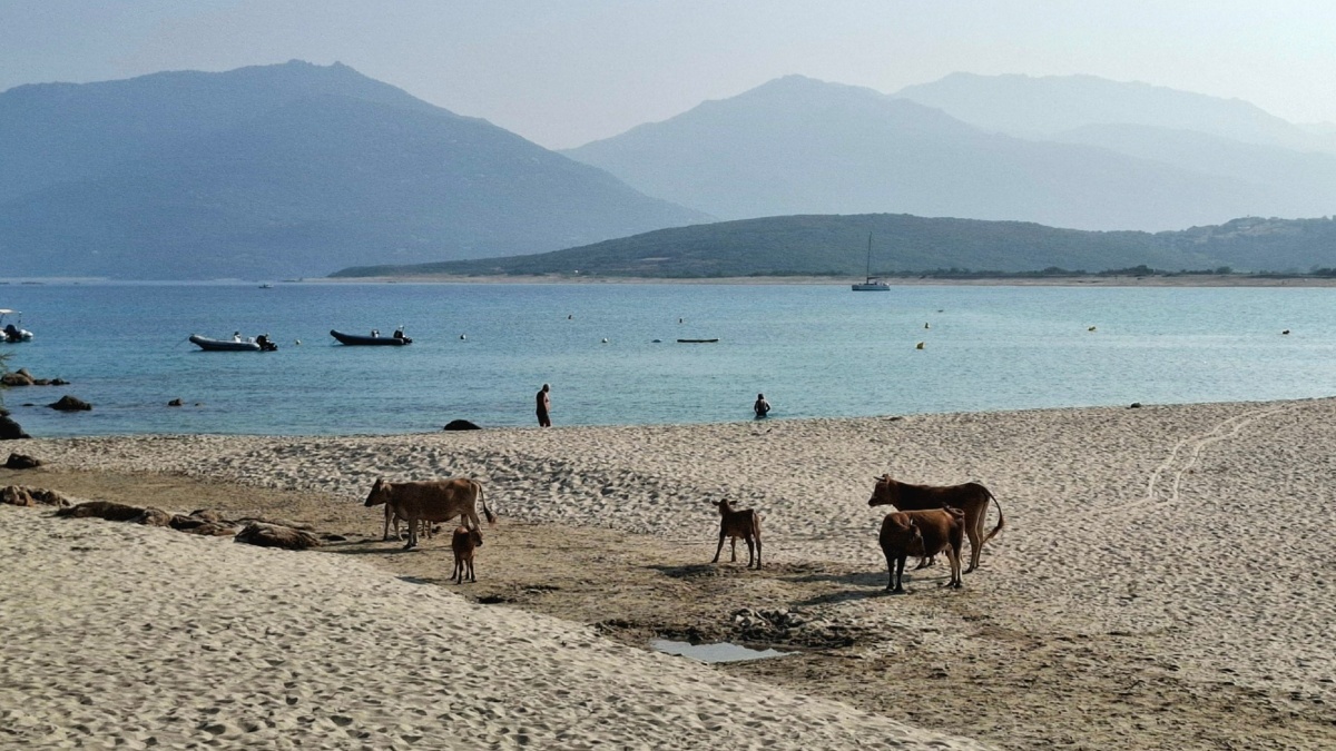 2bcac1ff-0376-447a-a8cd-de4bfb758892