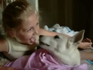 ee595bfb-064e-4f6f-a868-2df50bc579f8