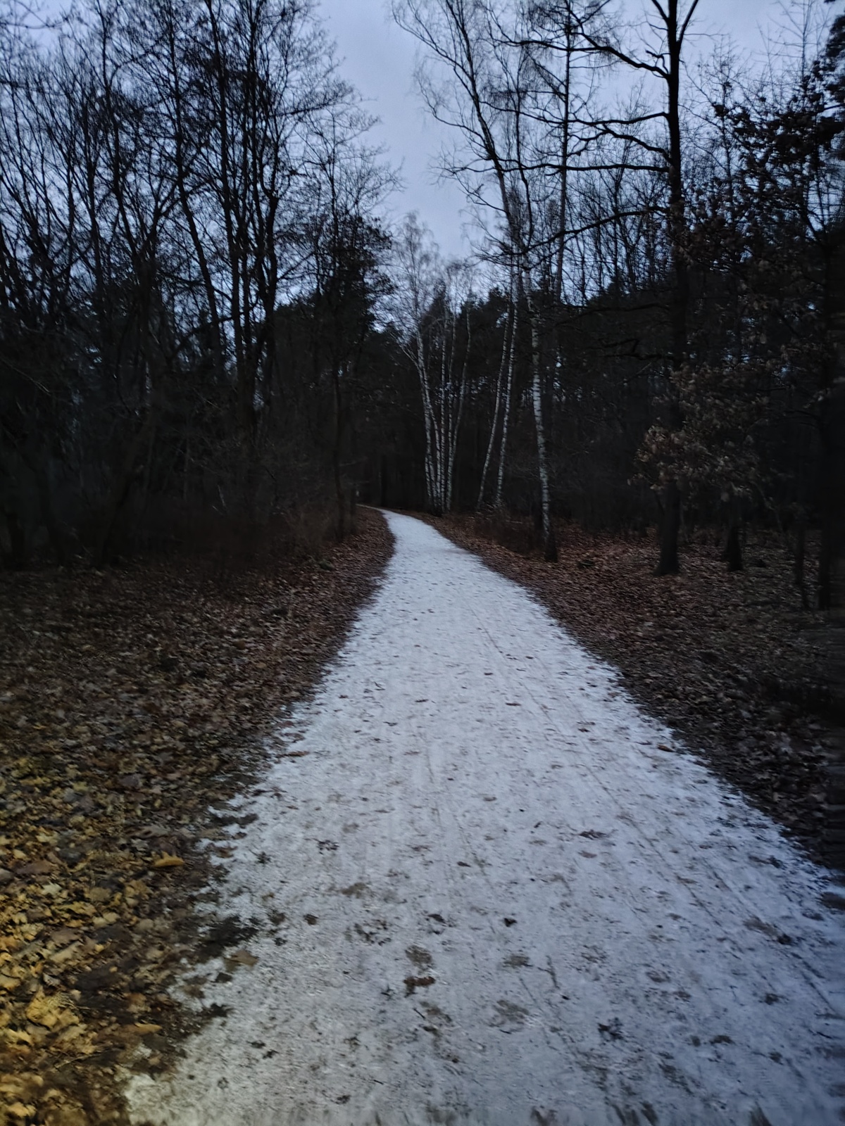 0b52c00c-3fb0-4e10-8c5d-9468eedbb606