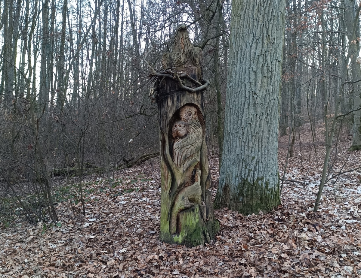 7b1fc18a-04f1-4c94-9469-4d8ed3ad6453