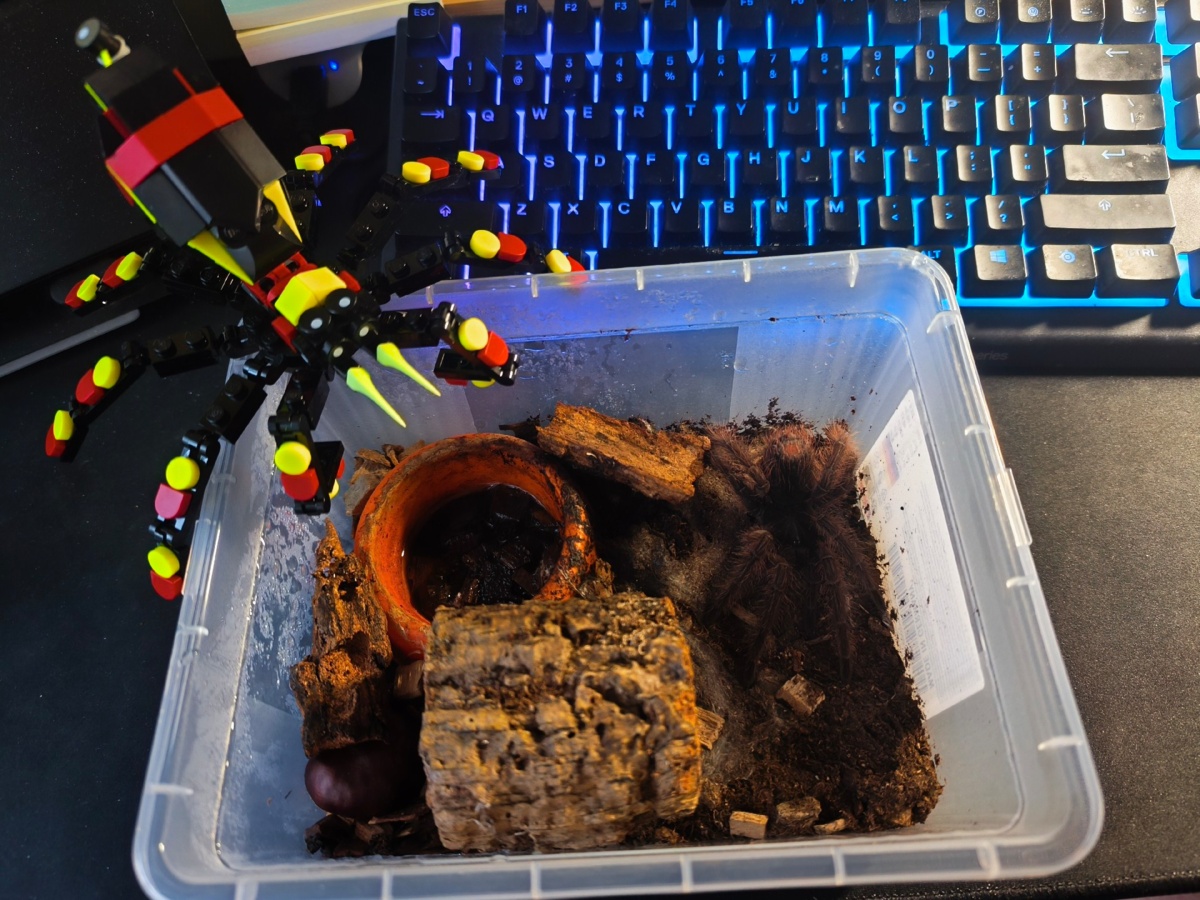 d9050d34-9b61-4a24-bd49-3a485b5abf89