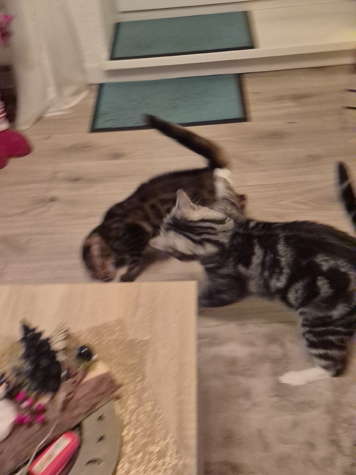 1222fbee-78ba-488c-88d6-b956d5ee23db