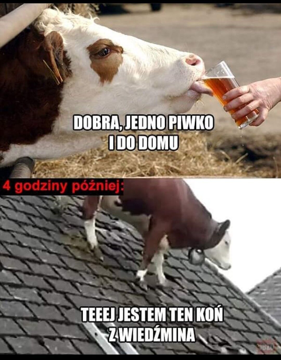 0a493155-e06d-41ab-b38f-0fa9ba8c0a36