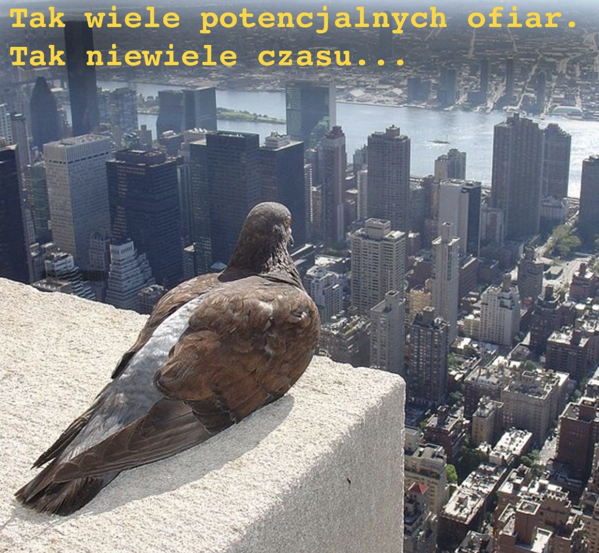 0ba9ee62-1942-4f1d-a828-521c5be60608