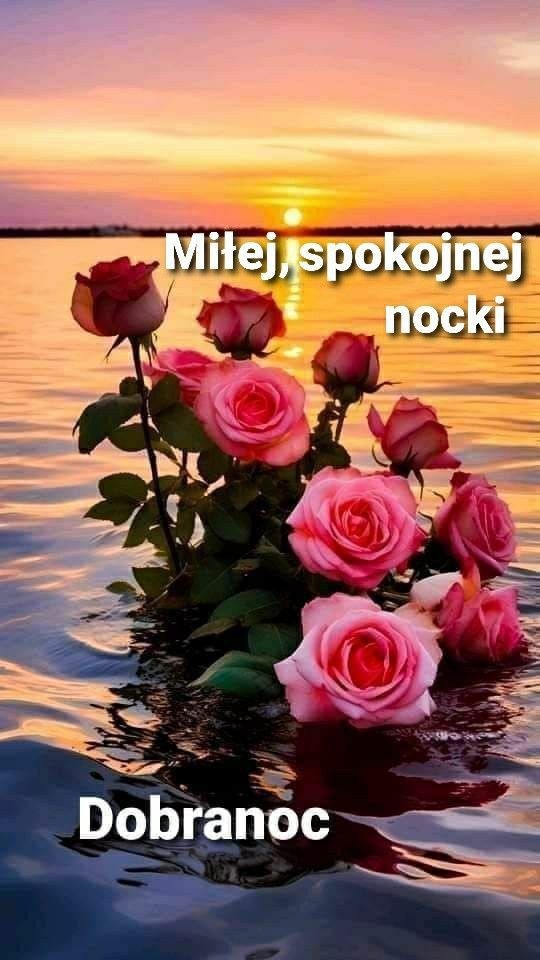 c67dcbe4-2456-40db-b902-2101accb51c1