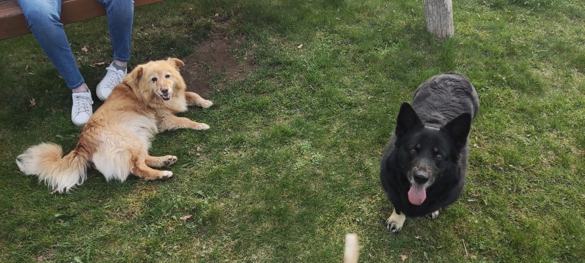 0dc7c72c-0710-4c64-861f-ca7150ca5dbe