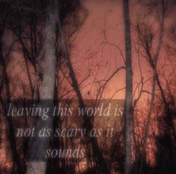 bba80309-d2af-436c-856c-e6c72e274971